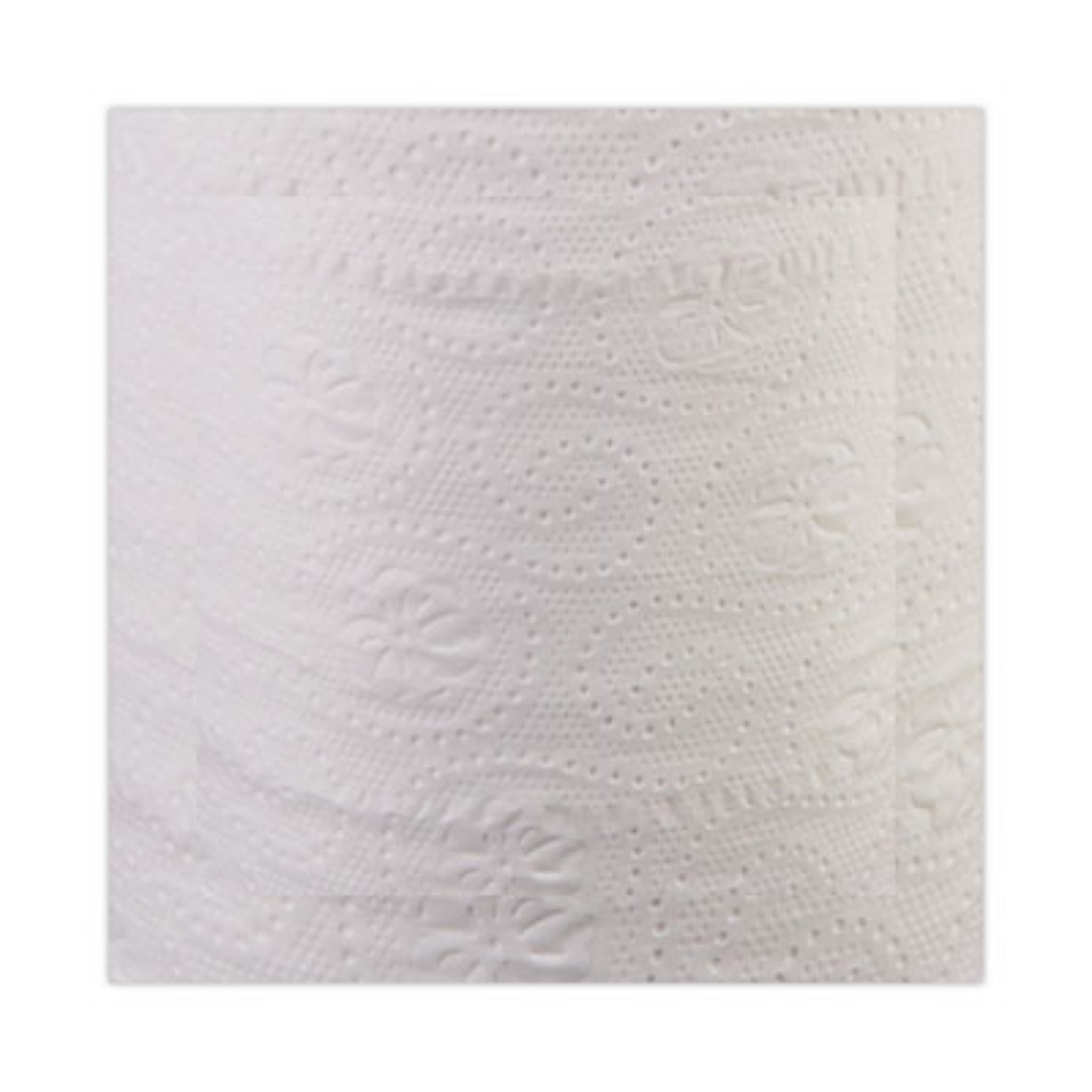 WINDSOFT WIN2240B Bath Tissue, Texture